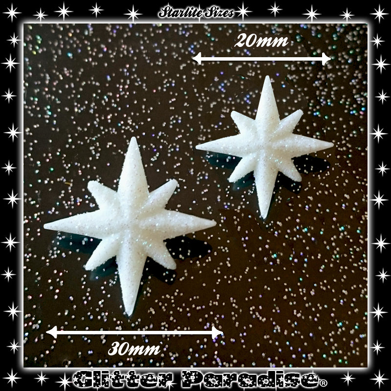 Earrings: Winter Starlite