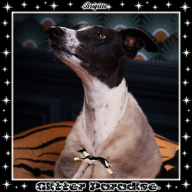Broche: Greyhound
